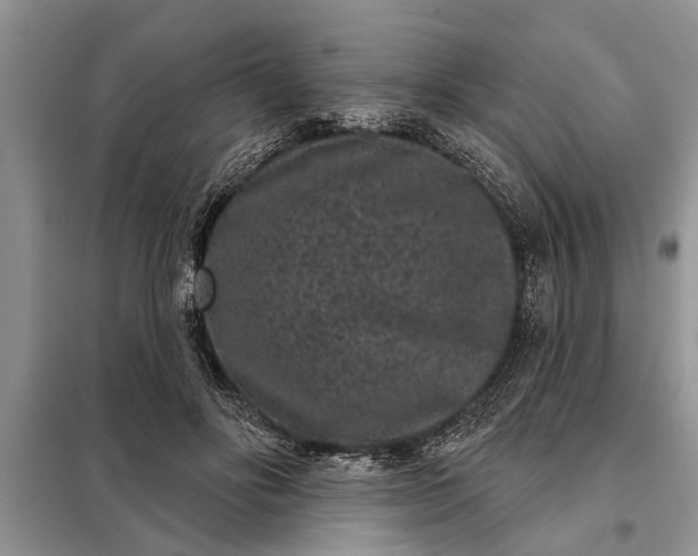 X0000097950502200804071008