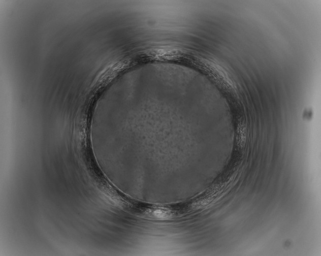 X0000097950506200804071008