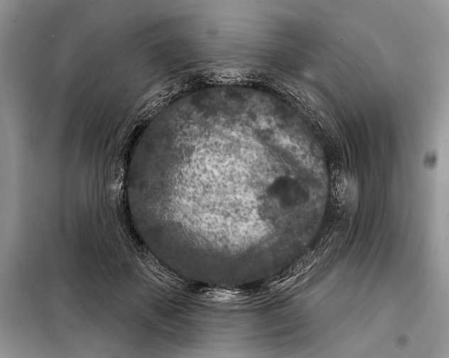 X0000097950507200804071008