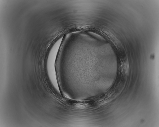 X0000097950508200804071008