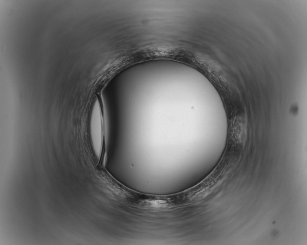 X0000097950509200804071008