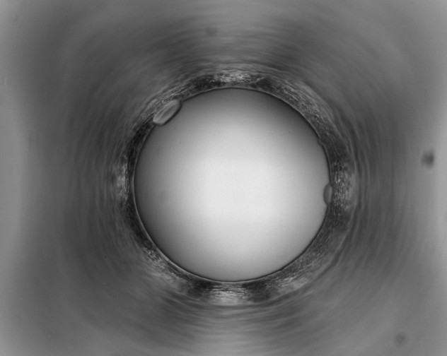 X0000097950510200804071008