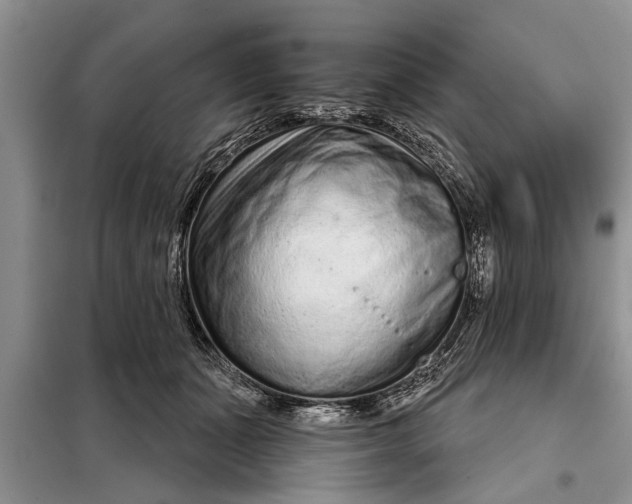 X0000097950511200804071008