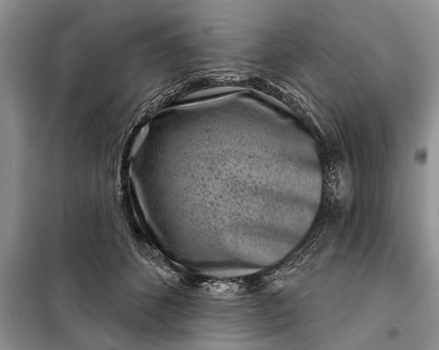 X0000097950512200804071008