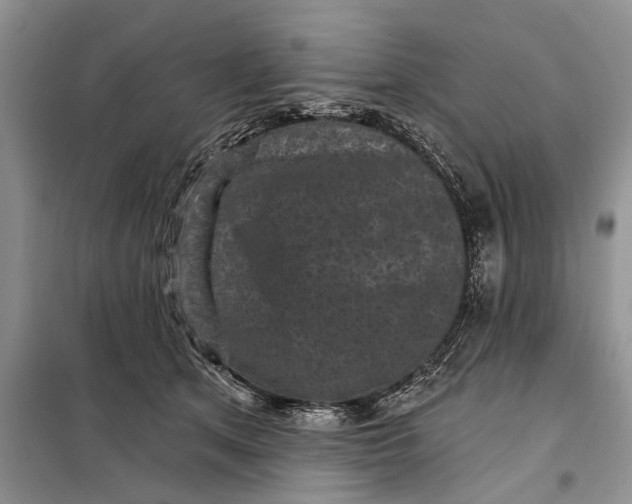 X0000097950513200804071008