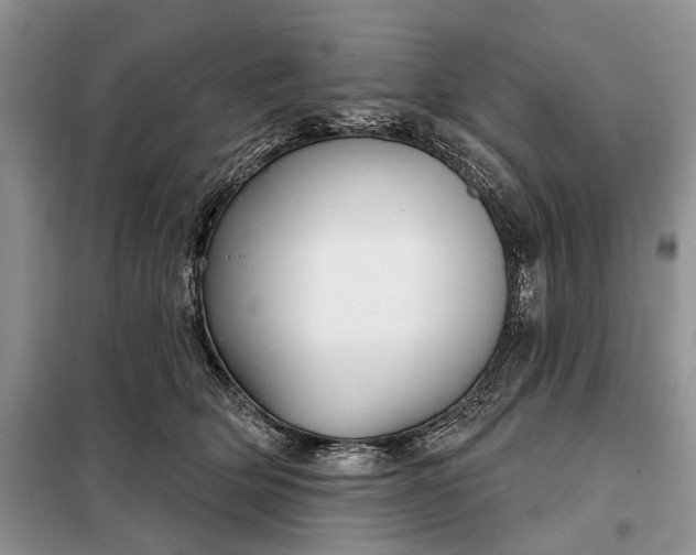 X0000097950514200804071008
