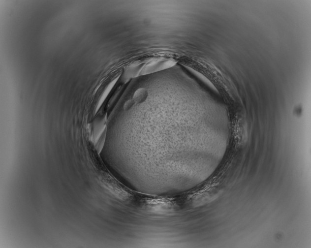 X0000097950516200804071008