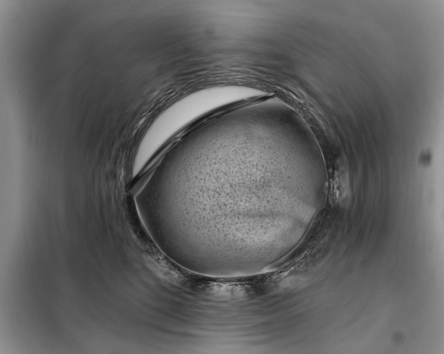 X0000097950520200804071008