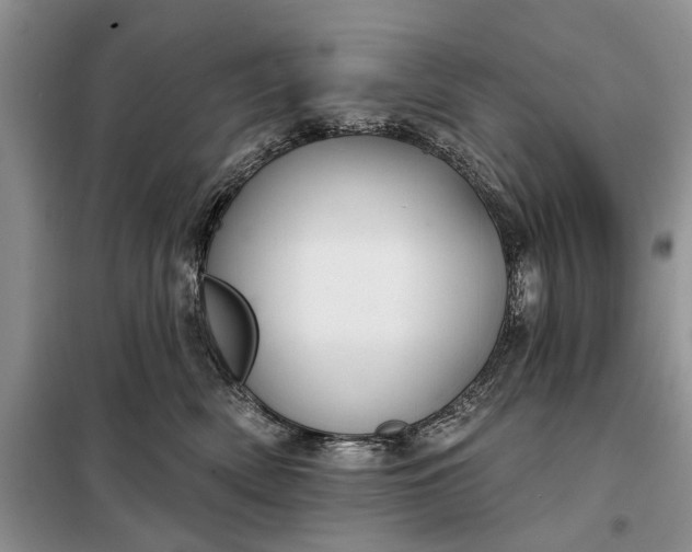 X0000097950522200804071008