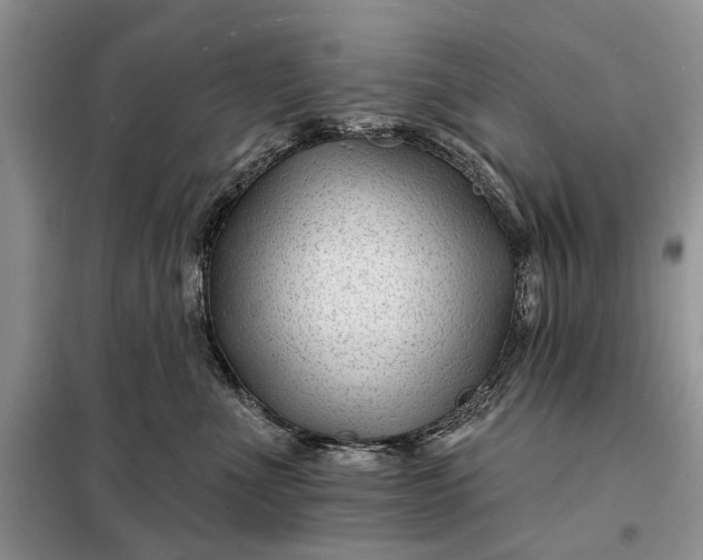 X0000097950523200804071008