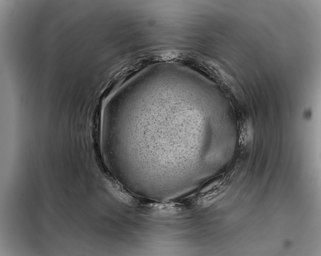 X0000097950524200804071008