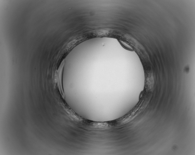 X0000097950525200804071008