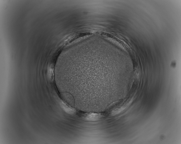 X0000097950527200804071008