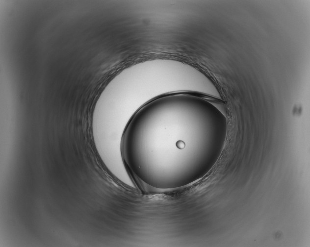 X0000097950528200804071008