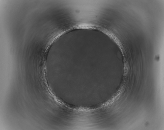X0000097950529200804071007