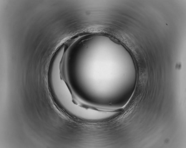 X0000097950530200804071007