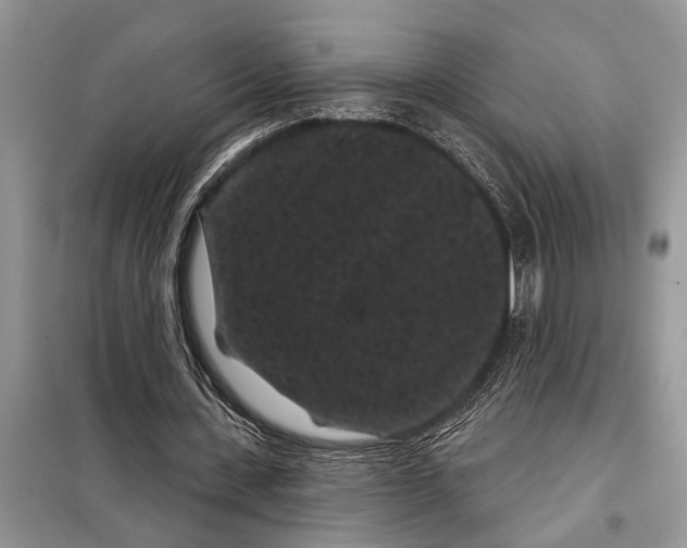 X0000097950531200804071007