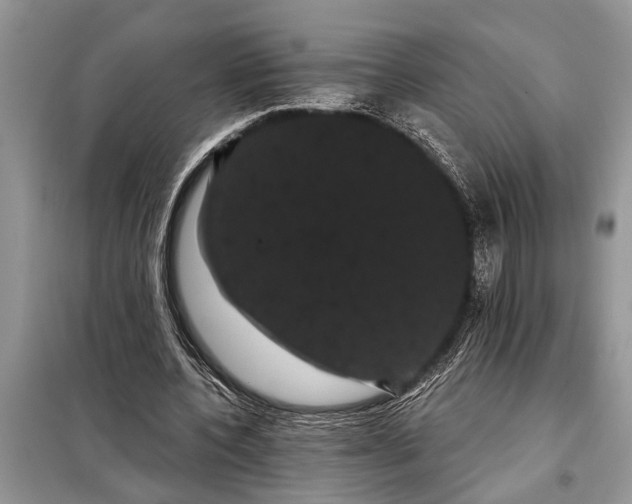 X0000097950532200804071007