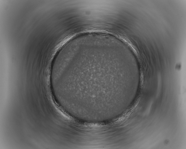 X0000097950533200804071007
