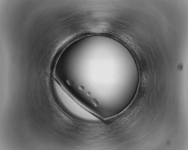 X0000097950535200804071007