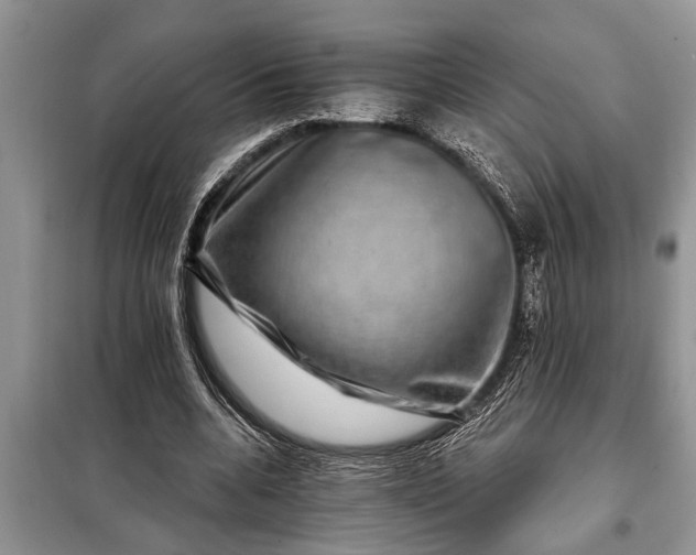 X0000097950536200804071007