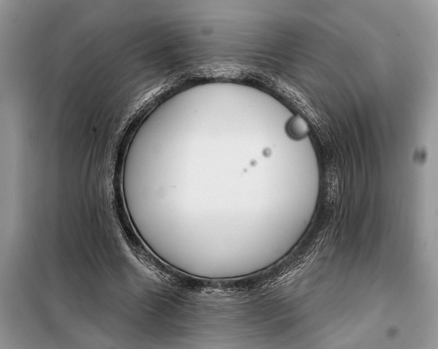X0000097950538200804071007