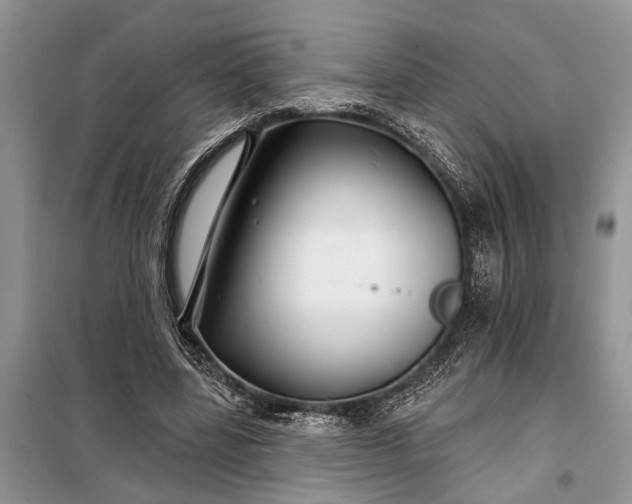 X0000097950539200804071007