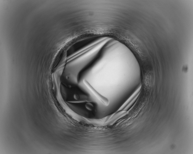 X0000097950540200804071007