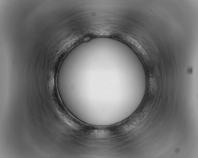 X0000097950541200804071007