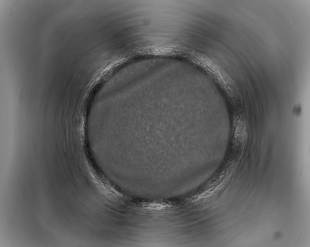 X0000097950542200804071007