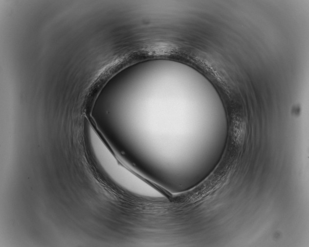 X0000097950543200804071007