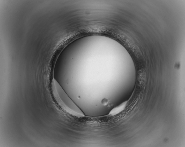 X0000097950544200804071007