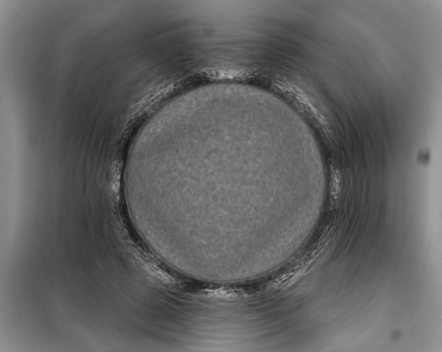X0000097950545200804071007