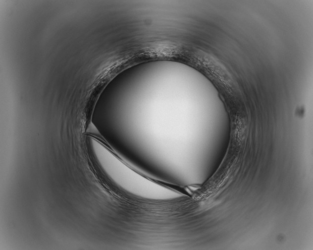 X0000097950548200804071007