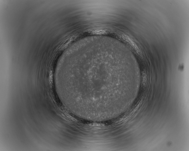 X0000097950549200804071007