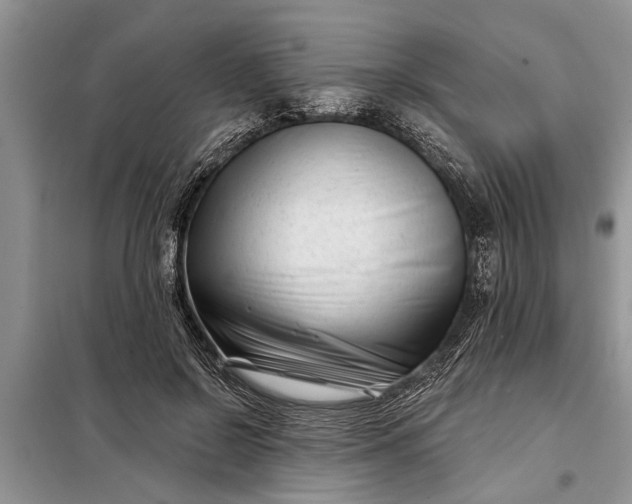 X0000097950550200804071008