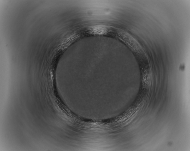 X0000097950551200804071008