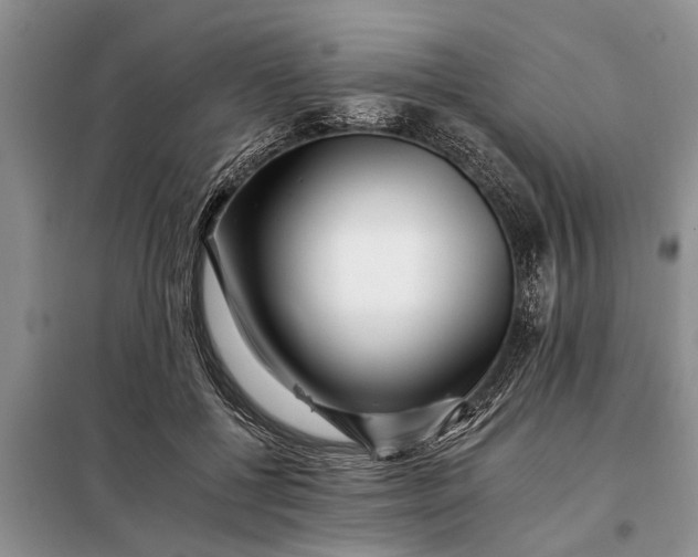 X0000097950552200804071008