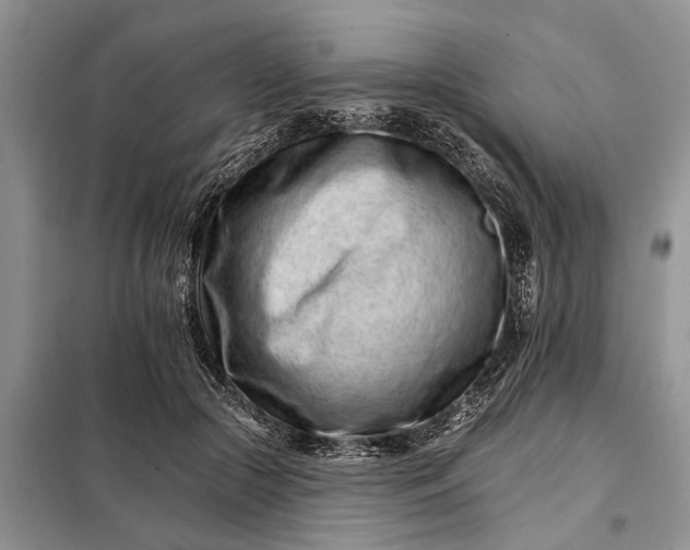X0000097950553200804071008