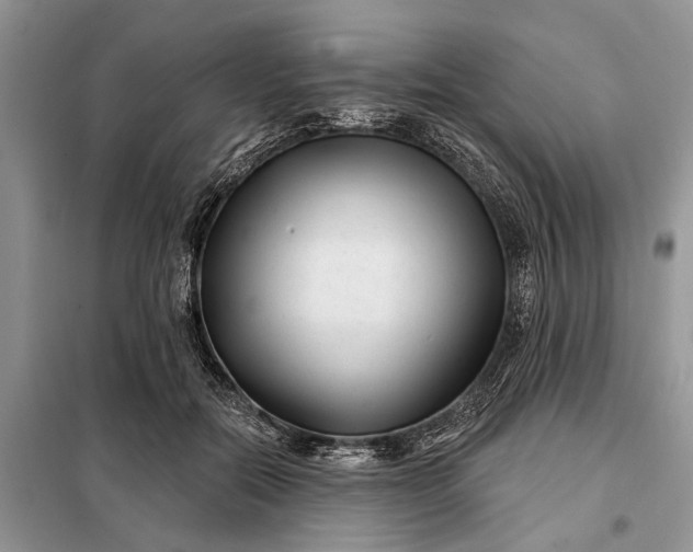 X0000097950554200804071008