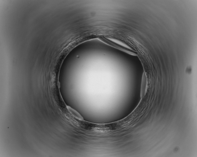 X0000097950556200804071008