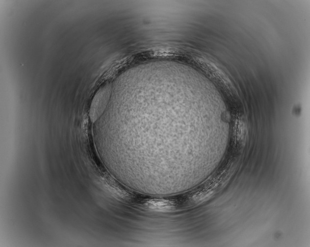 X0000097950557200804071008