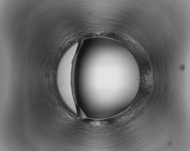 X0000097950558200804071008