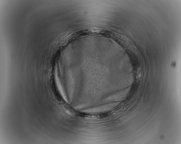 X0000097950559200804071008