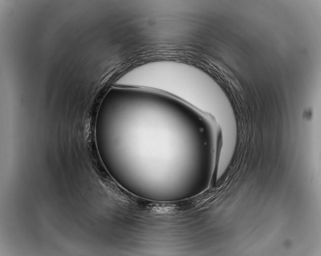 X0000097950560200804071008