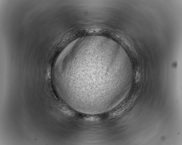 X0000097950561200804071008