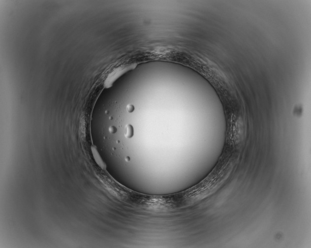 X0000097950562200804071008
