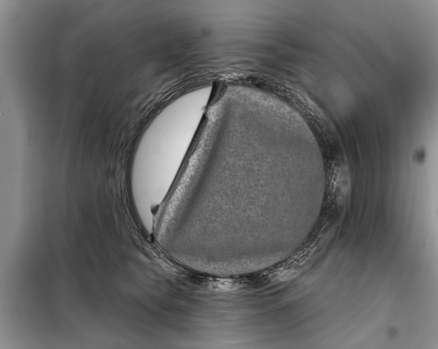 X0000097950565200804071008
