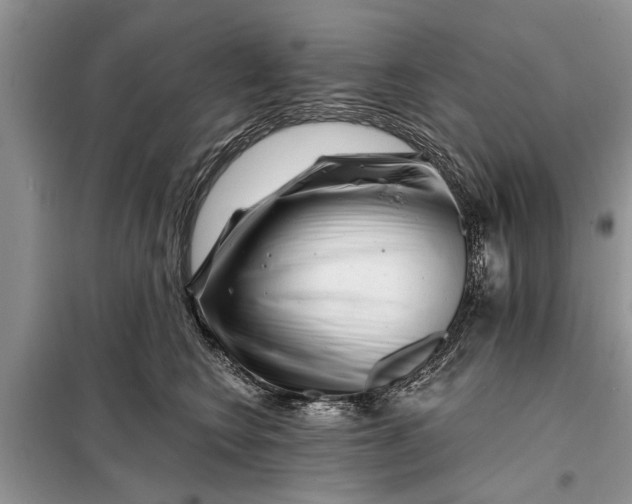 X0000097950566200804071008