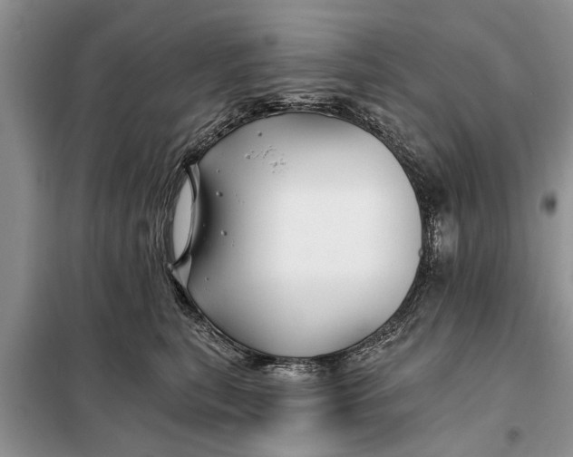 X0000097950567200804071008
